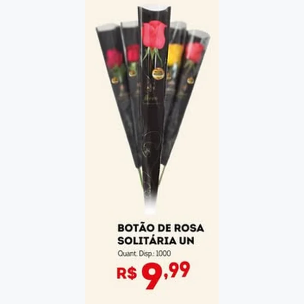 Recorte do encarte de Botão de Rosa Solitária