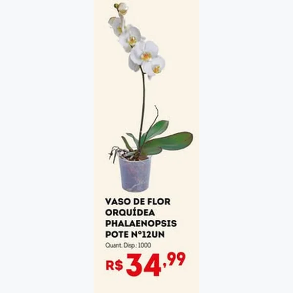 Recorte do encarte de Vaso de Flor Orquídea Phalaenopsis Pote Nº12