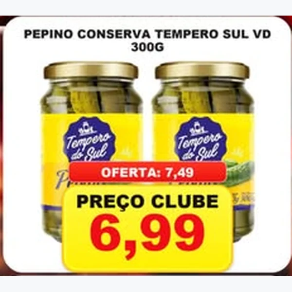 Pepino Conserva Tempero Sul 300 g