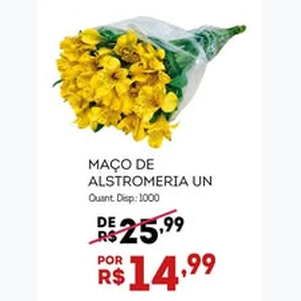 Maço de Alstromeria