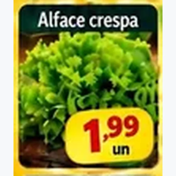 Recorte do encarte de Alface Crespa