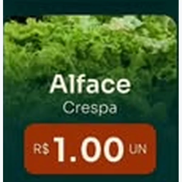 Alface Crespa