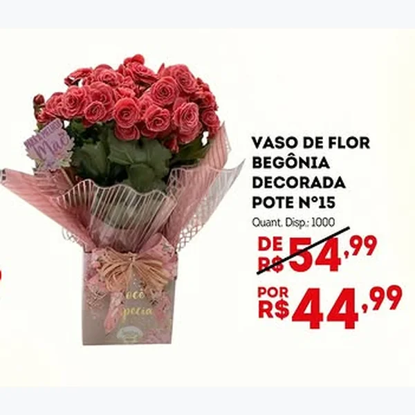 Recorte do encarte de Vaso de Flor Begônia Decorada Pote N°15