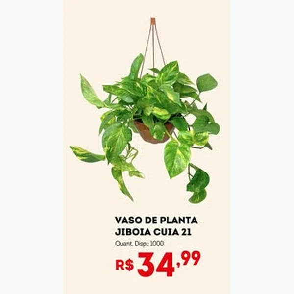Recorte do encarte de Vaso de Planta Jiboia Cuia 21