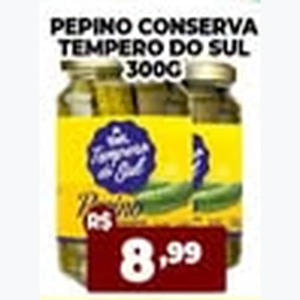 Pepino Conserva Tempero do Sul 300 g