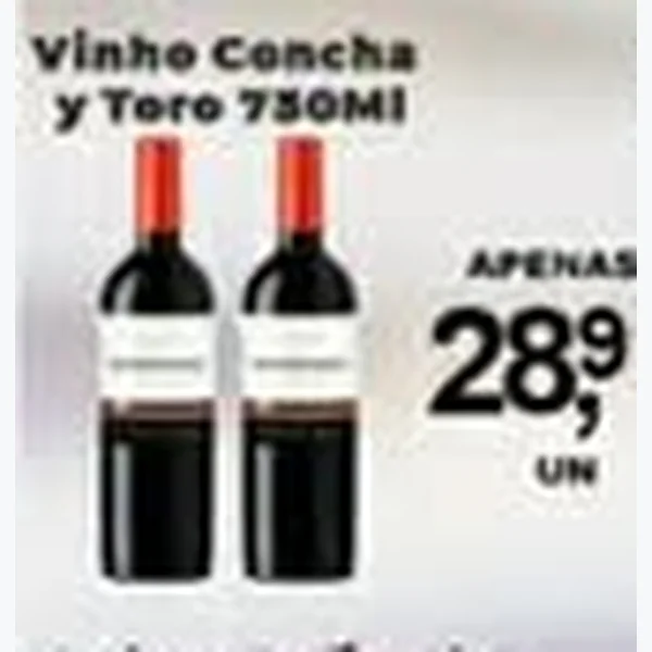 Vinho Concha y Toro 750 ml