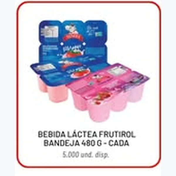 Bebida Láctea Frutirol 480 g