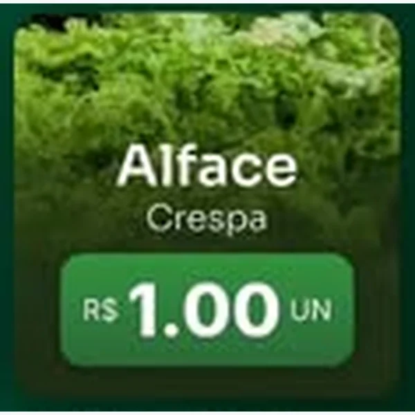 Alface Crespa