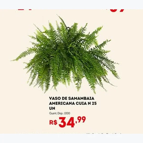 Recorte do encarte de Vaso de Samambaia Americana Cuia N 25