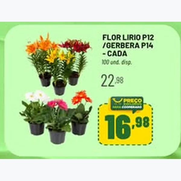Flor Lirio P12