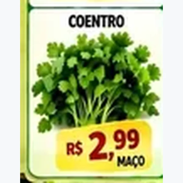 Coentro