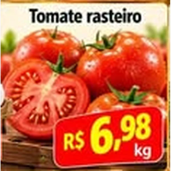 Tomate Rasteiro