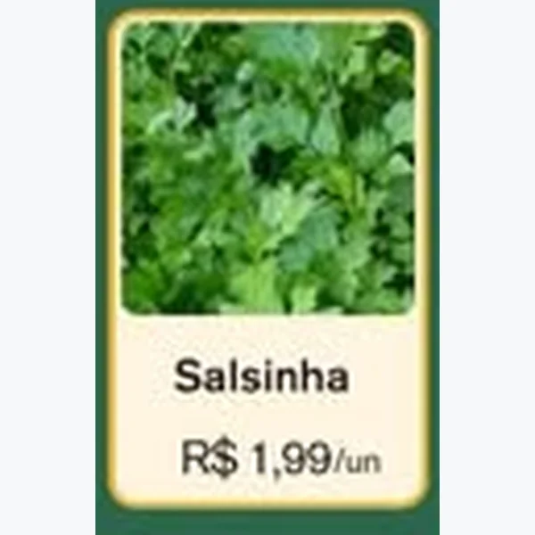 Salsinha
