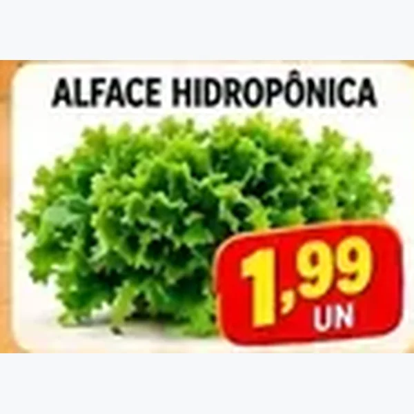 Alface Hidropônica