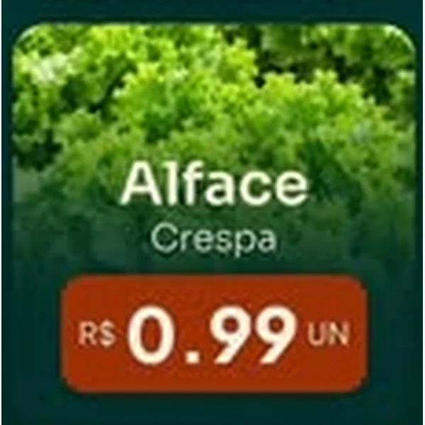 Alface Crespa