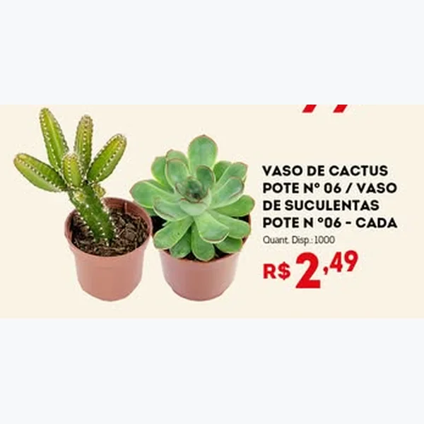 Recorte do encarte de Vaso de Cactus Pote Nº06