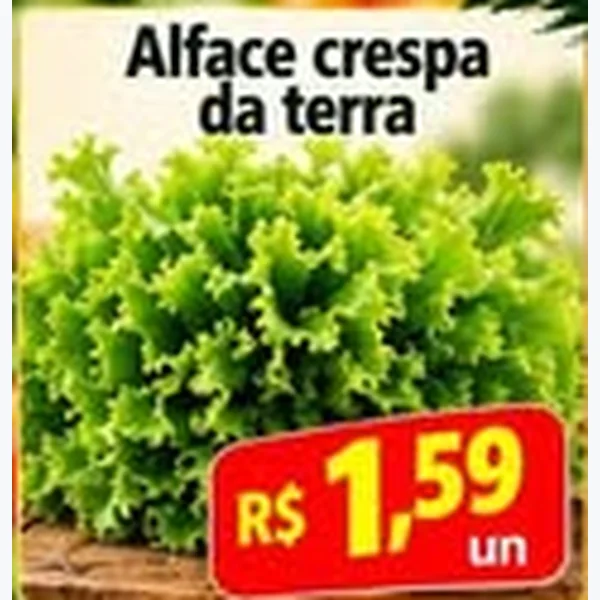 Recorte do encarte de Alface Crespa