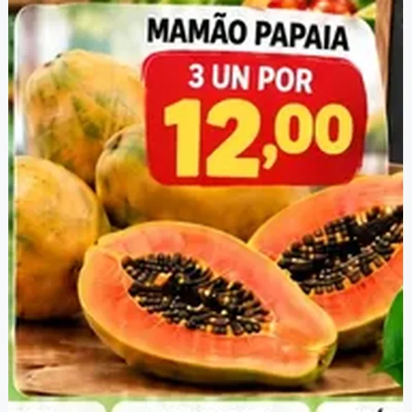 Mamão Papaia
