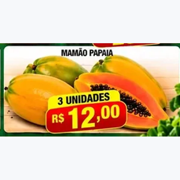 Mamão Papaia