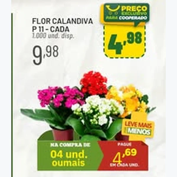 Recorte do encarte de Flor Calandiva P 11