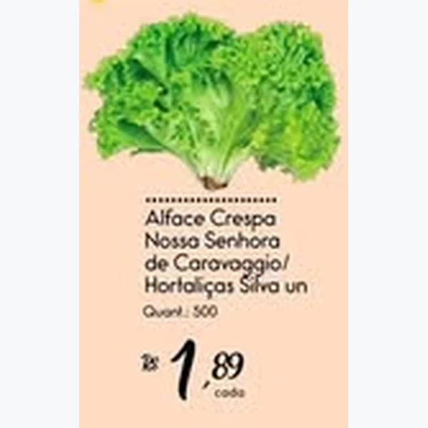 Recorte do encarte de Alface Crespa Nossa Senhora de Caravaggio