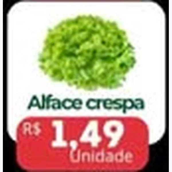 Alface Crespa