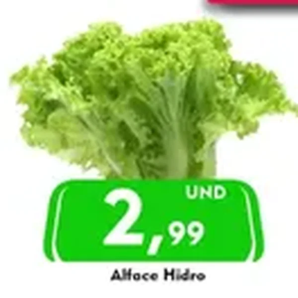 Alface Hidro