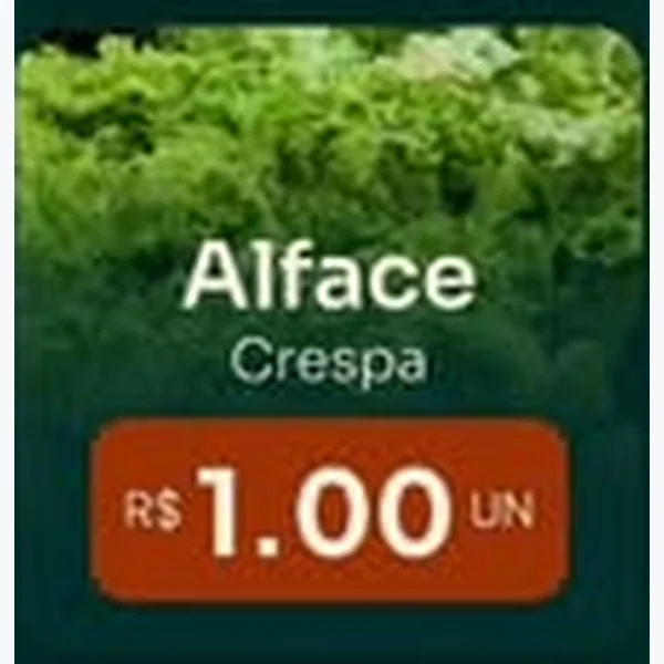 Alface Crespa