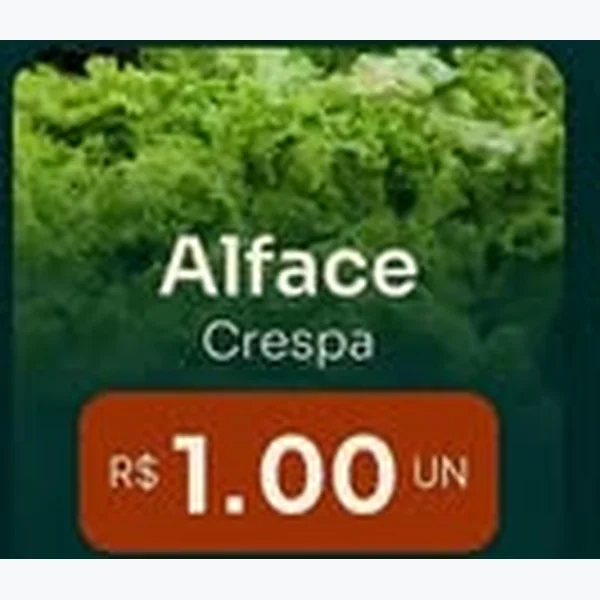 Alface Crespa