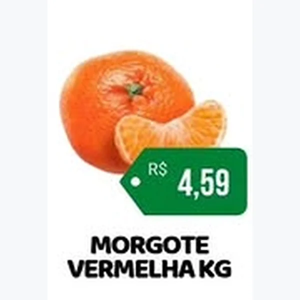 Morgote Vermelha