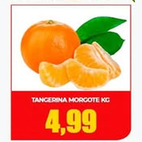 Tangerina Morgote