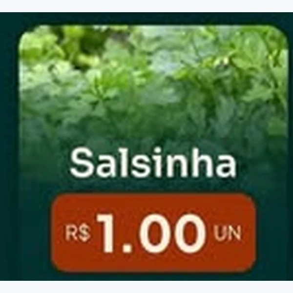 Salsinha