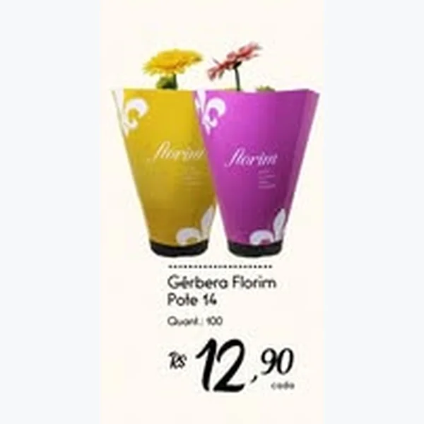 Gérbera Florim Pote 14
