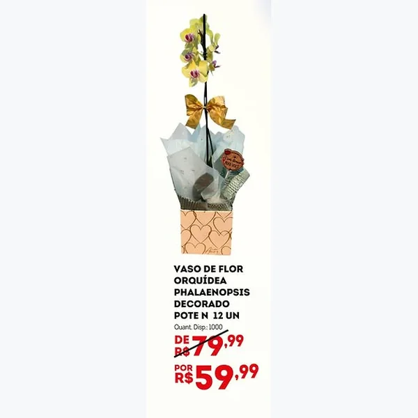 Vaso de Flor Orquídea Phalaenopsis Decorado Pote N 12