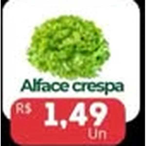 Alface Crespa