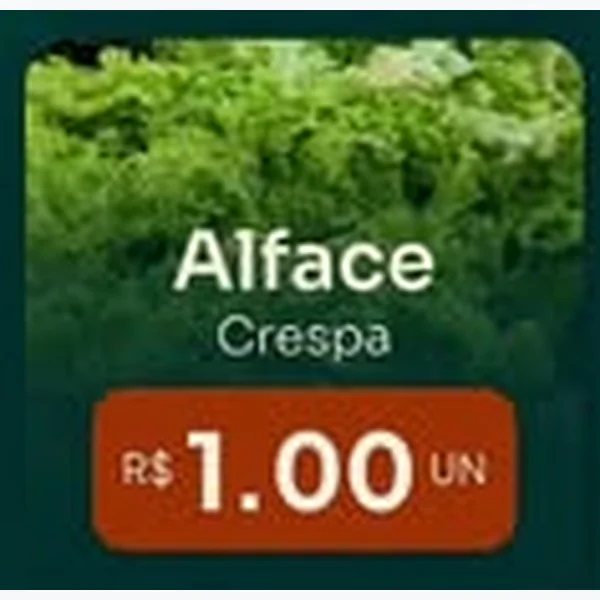 Alface Crespa