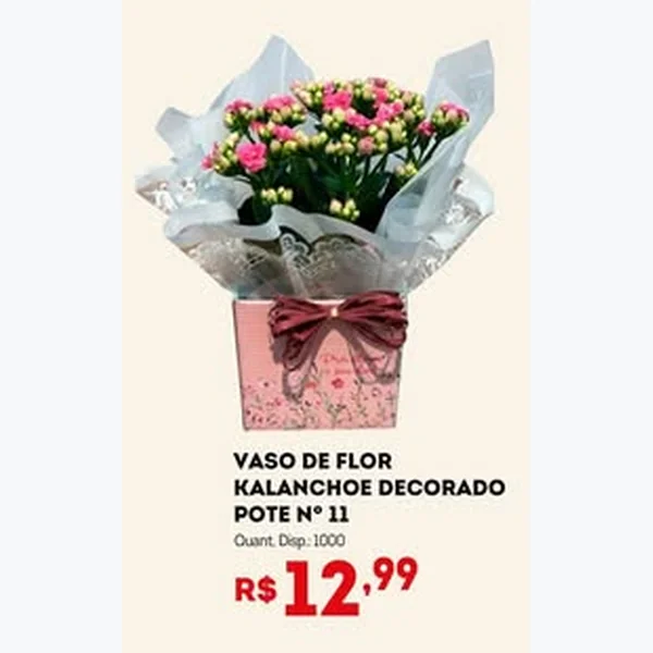 Recorte do encarte de Vaso de Flor Kalanchoe Decorado Pote Nº 11