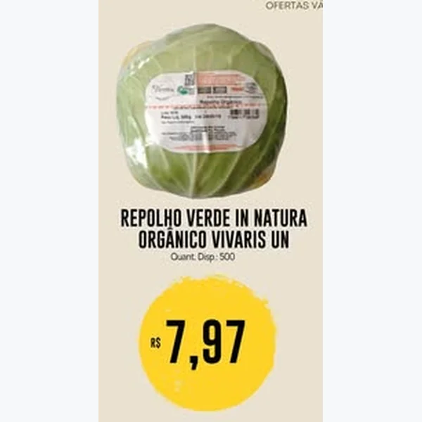 Repolho Verde In Natura Orgânico Vivaris