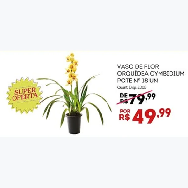 Recorte do encarte de Vaso de Flor Orquídea Cymbidium 18 un