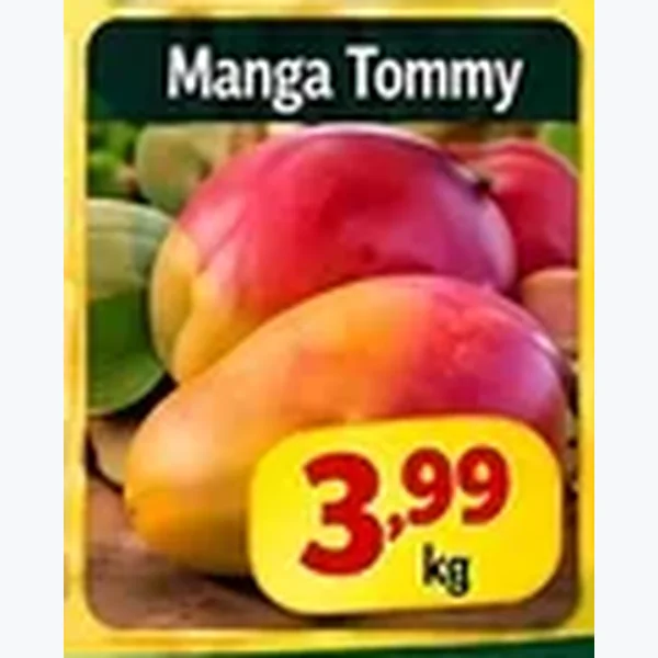 Manga Tommy
