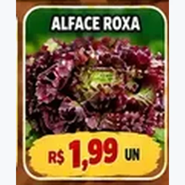 Alface Roxa