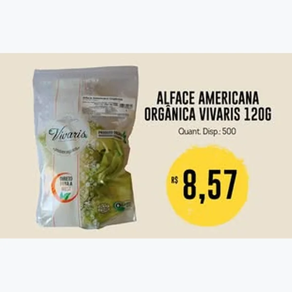 Alface Americana Orgânica Vivaris