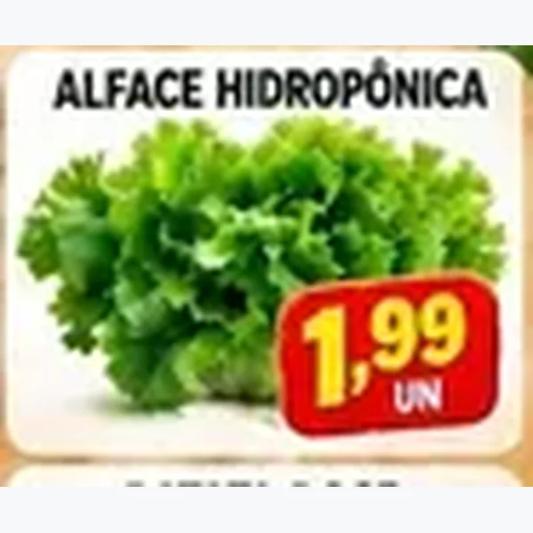 Alface Hidropônica