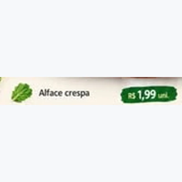 Alface Crespa