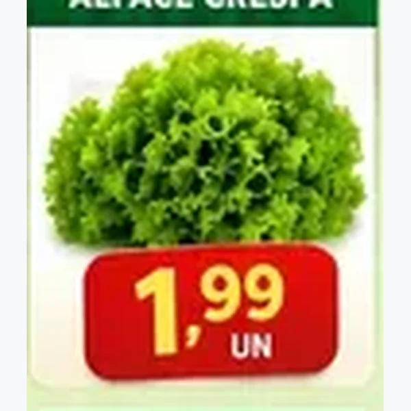 Alface Crespa