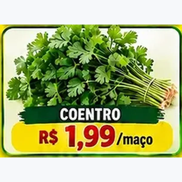 Coentro