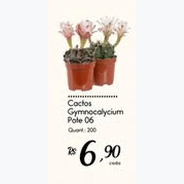 Recorte do encarte de Cactos Gymnocalycium Pote 06