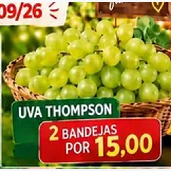 Uva Thompson 2 un