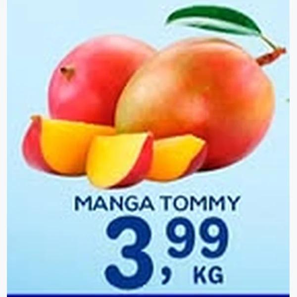 Manga Tommy