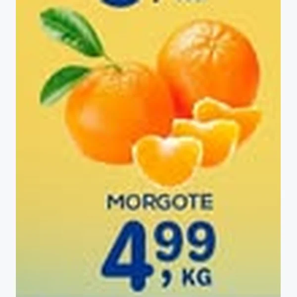 Morgote